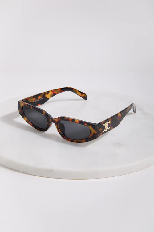 Brown Sunglasses