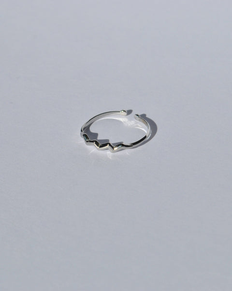 Zodiac Rings