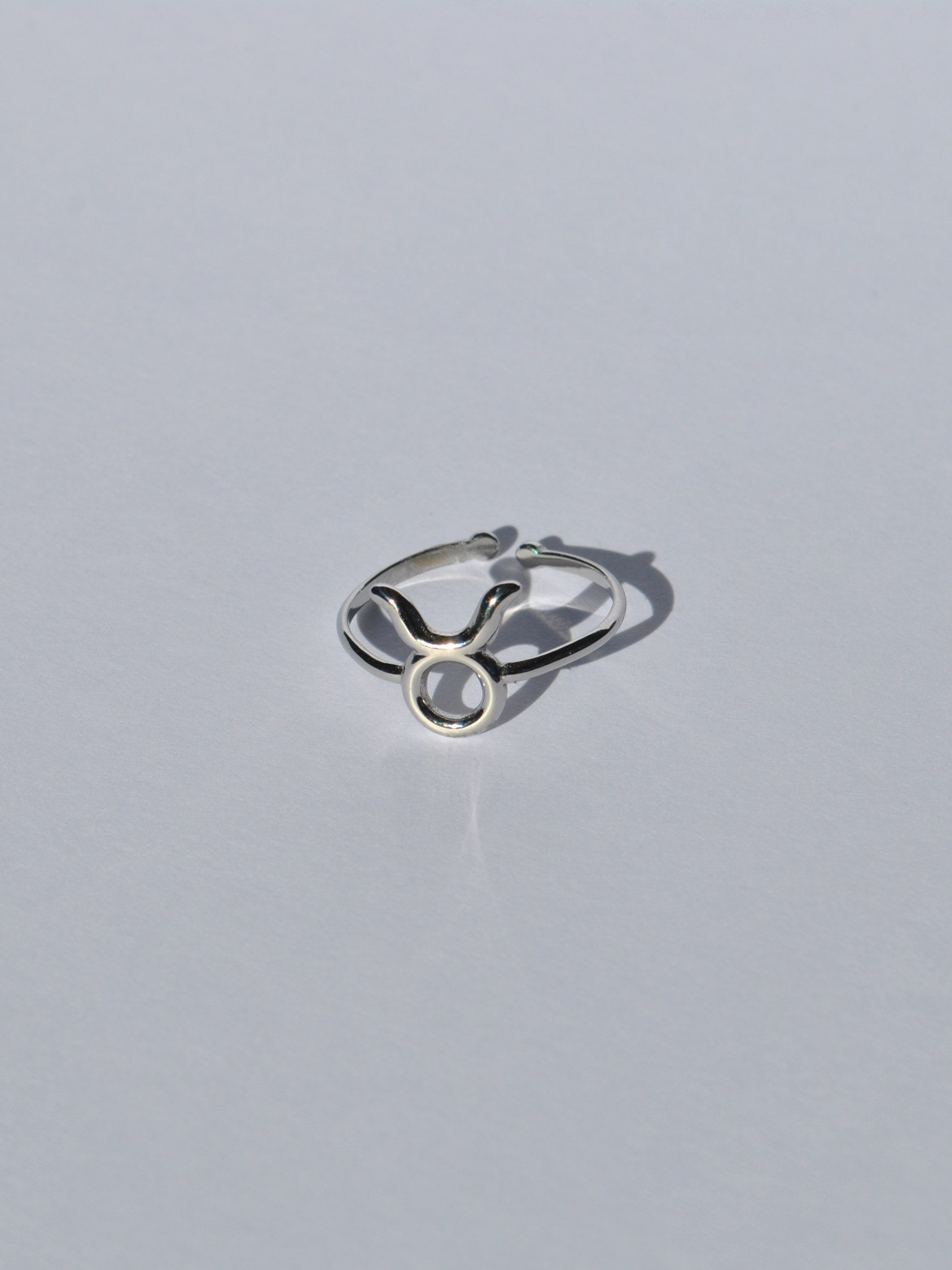Zodiac Rings