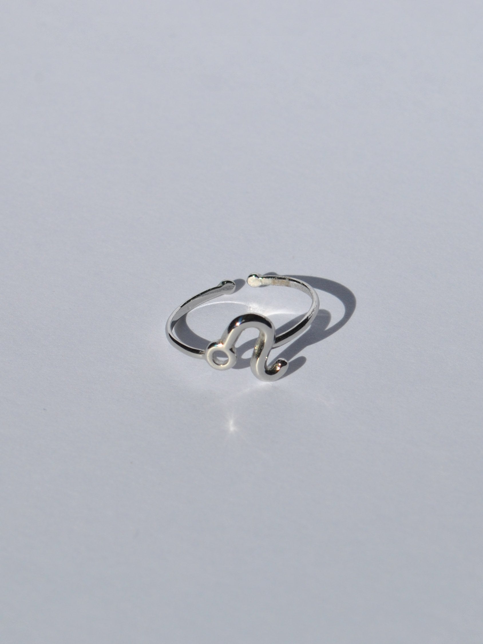 Zodiac Rings