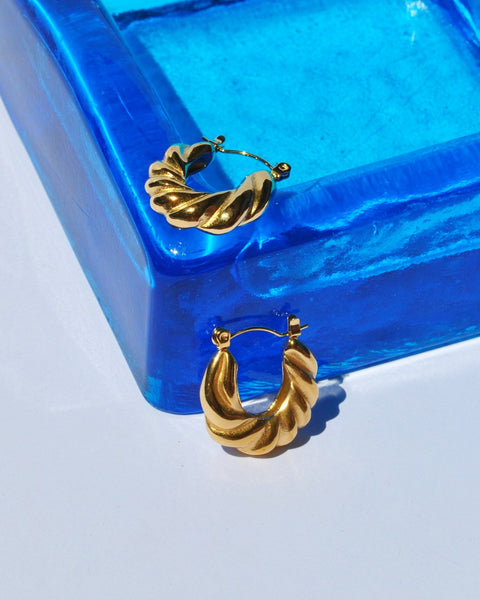 Twisted Earrings