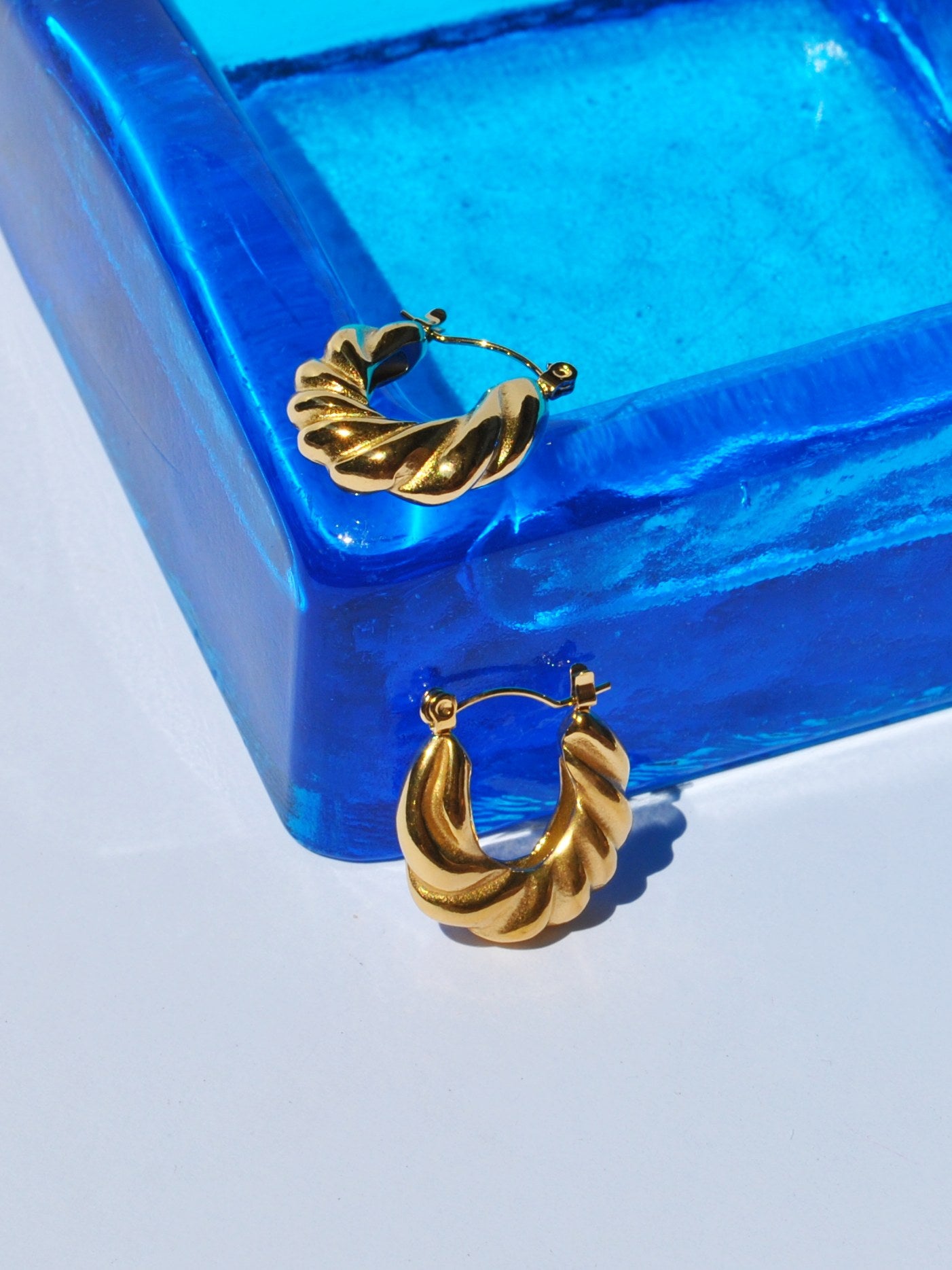 Twisted Earrings